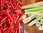 Sos sriracha hot chilli 52% z trawą cytrynową lemon grass flying goose 455ml